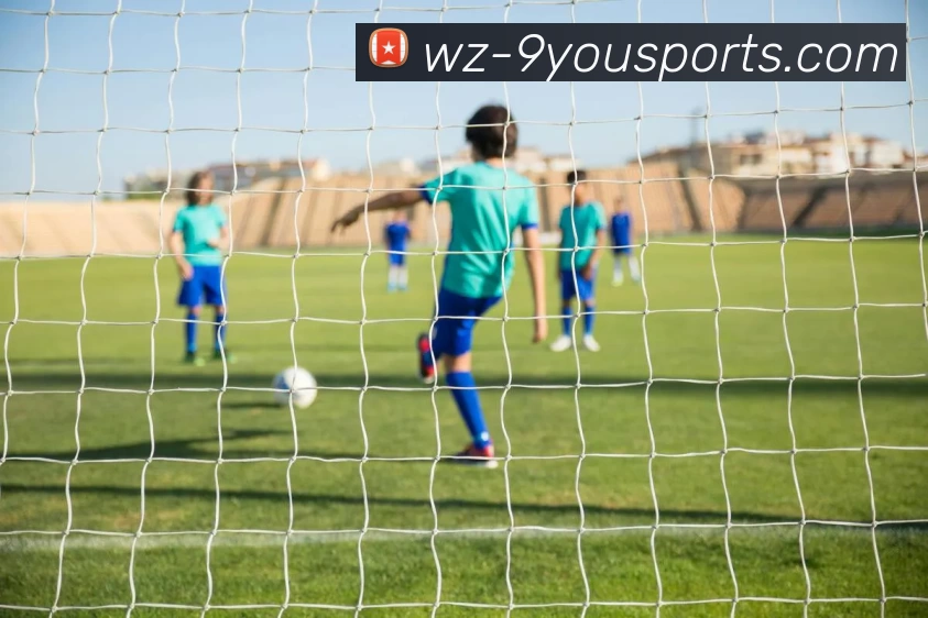 九游体育官方网站服务体系